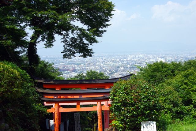 後ろを振り返ると・・・西側の伏見区周辺の風景が！見える範囲は狭いですがずっと景色が全く見えなかったので達成感。