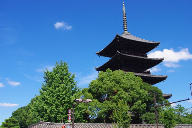 近鉄「東寺」駅より九条通りを西に進むと、大きな五重塔が見えてきます。