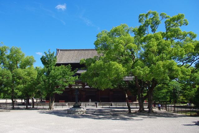 東寺の中へ。広い敷地が広がります。正面には国宝の金堂。