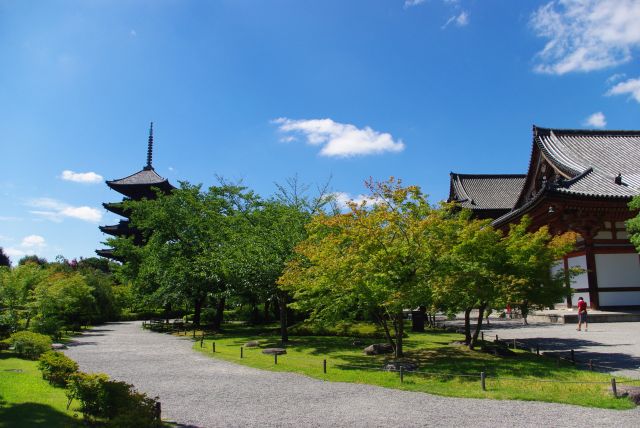 拝観エリアへ。五重塔へ向かっていきます。天気が良く庭園の緑と空の青・白が鮮やかできれいです。