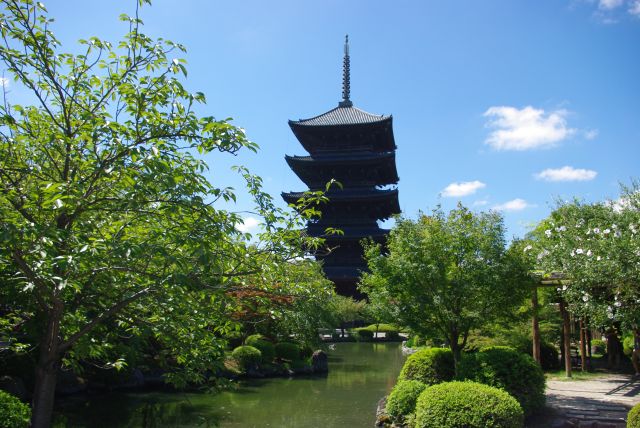 庭園の池から五重塔を眺めます。池には鯉。