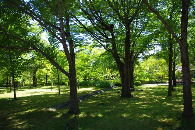 緑が心地よい園内。