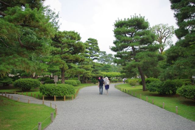 院内に入ると道の脇には松の木がたくさん。