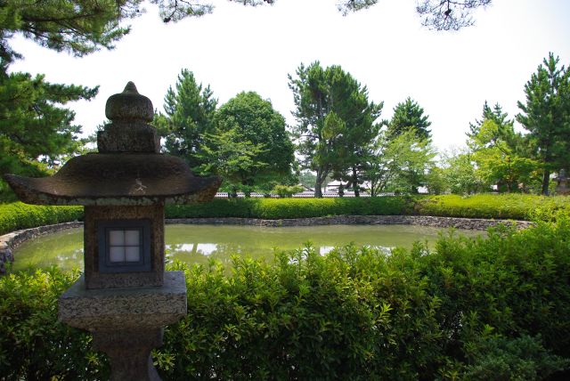 緑に囲まれた鏡池と燈篭。この後、夢殿のある東院伽藍へと進んでいきます。