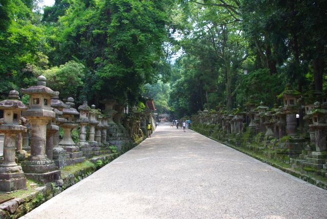 石灯籠と緑に囲まれた坂道を進んでいきます。