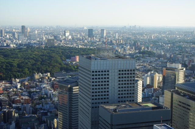 新宿周辺だけ極端に高層化されているのがよく分かります。