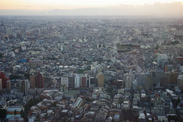 西側をズーム。広大な街を異様に高いところから眺めているという不思議な感覚。