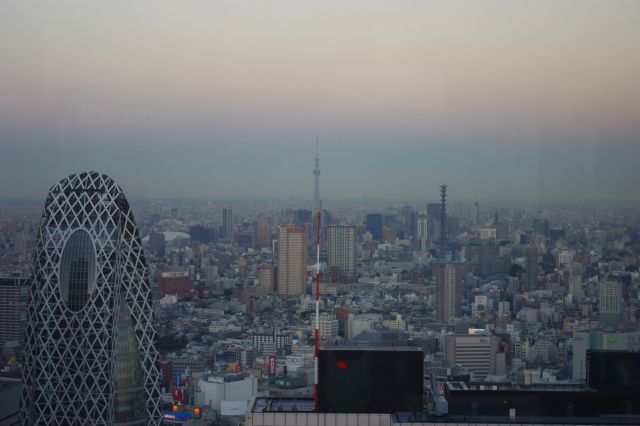 東京スカイツリー方面。陽は大分沈みましたがまだ灯かりは目立たない。