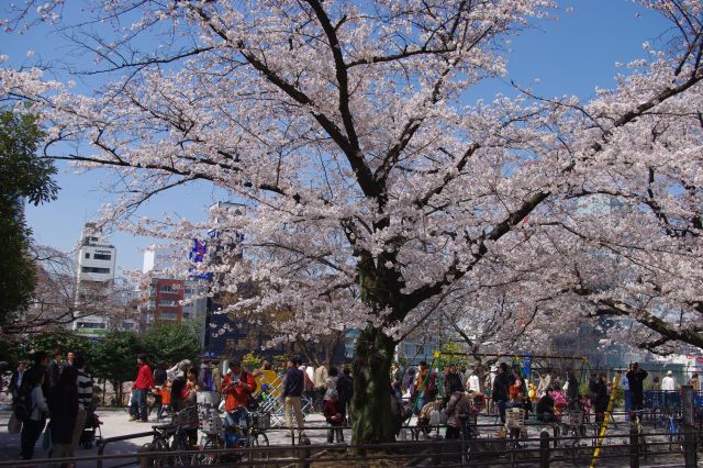 公園の駅付近部分は遊具があり、親子で楽しんでいる様子。