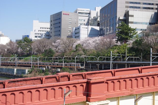 ズーム。総武線、中央線がひっきりなしに走っている。駅の上の土手はさっきの外濠公園。