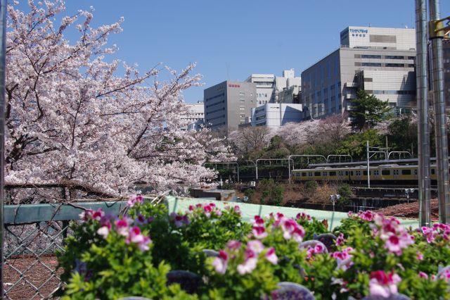 自然と都市風景。