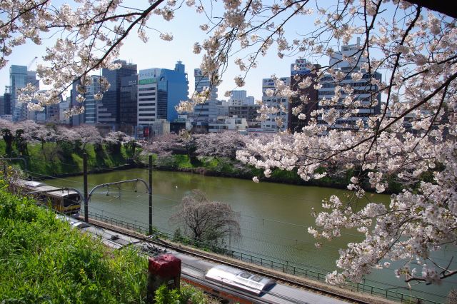 土手の緑も鮮やかで、奥にビル群がありながらあまり都会感を感じさせない風景。