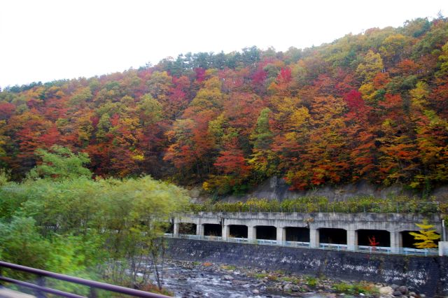 道沿いに徐々に様々な鮮やかな色の紅葉が増えていきます。