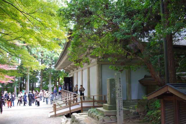 覆堂出口先の経堂前には芭蕉の「五月雨の降のこしてや光堂」の句碑が立っています。