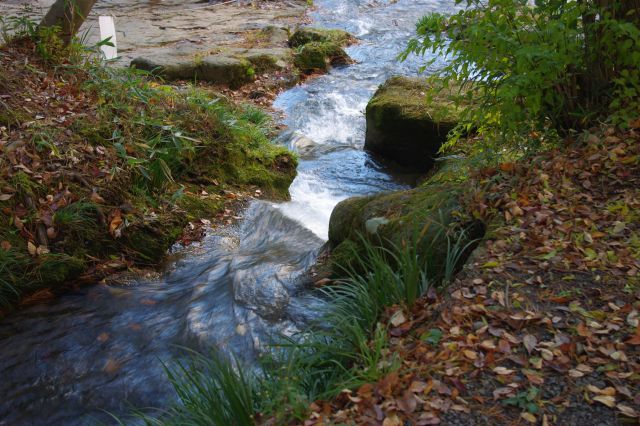 小川の根元部分（奥が川）