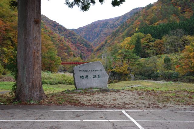 抱返り渓谷へ到着。早速奥の山並みが鮮やかな色に染まっているのが見えます。