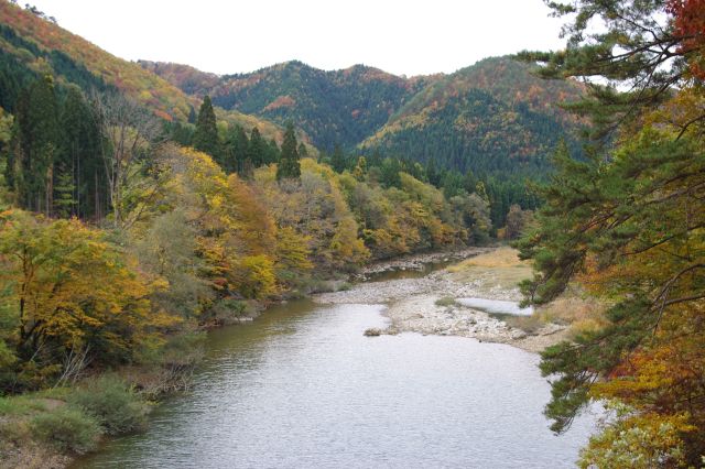 橋から元来た方向。紅葉と針葉樹も混在。