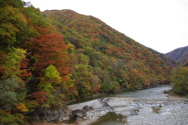 抱返り渓谷の紅葉の写真ページへ