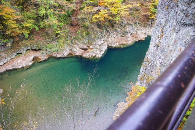 橋から見た底も見える透明な川。