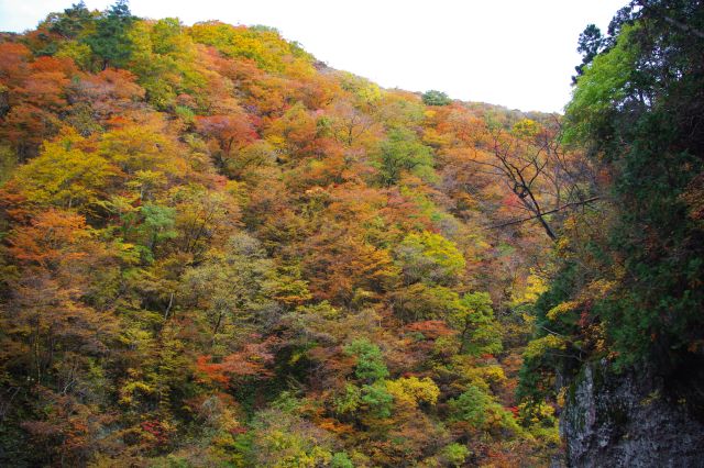 歩道はずっと対岸に鮮やかな色とりどりの紅葉が見えます。