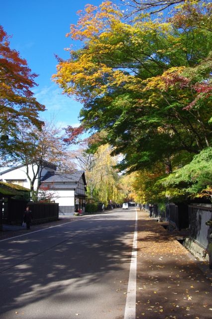 通りに迫る豊かな木々。緑や赤、黄色など様々な色がミックスして美しい風景。