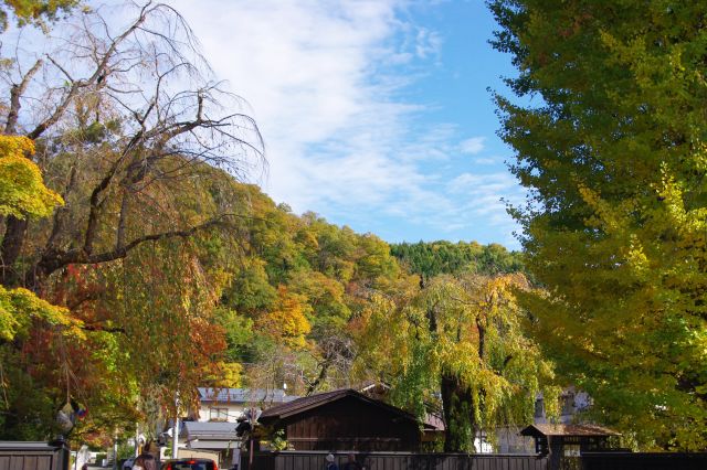 屋敷街の奥の山も様々な色に色付いている。自然との調和が心地よい街です。