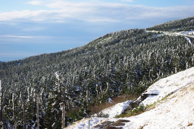 一面に広がる樹氷群は全て左から雪が吹き付けられた状態。規則的で広範囲で圧倒される。