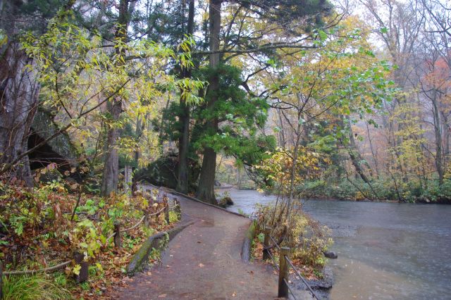 歩道から渓流へと注ぐ雨水の流れができていた。