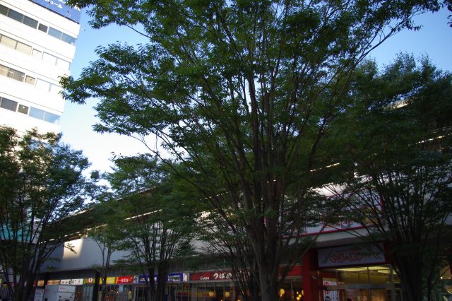 駅ビル横には従来のレストラン街が残っていました。