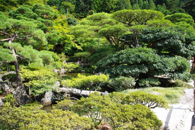 白鳥島へ渡る小さな石橋。何重にも折り重なる緑が美しい。