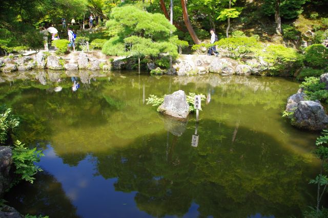 池に反射する緑と青。