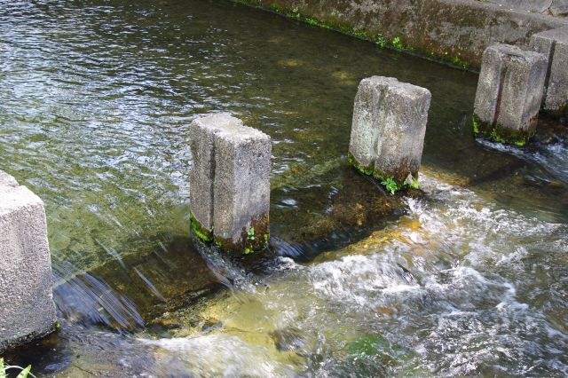 橋の跡？底が見えるぐらい透明で清らかな水です。