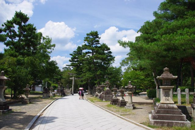 長い参道には石燈篭がたくさん並んでいます。