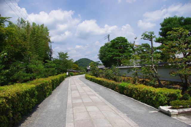 両側に寺院が続く道。車もたまに通ります。緑がきれいですが日陰がなく暑い…(^^;)