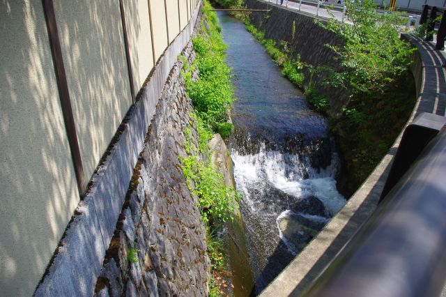 バス停「南禅寺・永観堂道」から白川通りを歩く（「岡崎法勝寺町」の方が近い）。