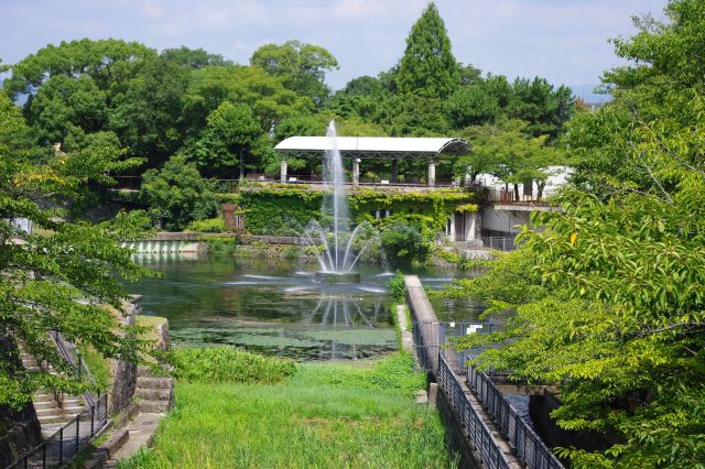 京都市動物園の前、琵琶湖疏水が山を下った所に噴水があります。