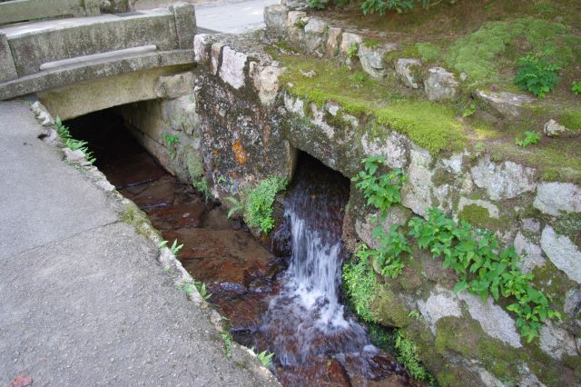 暑いので水の音、流れは本当に心地よい。