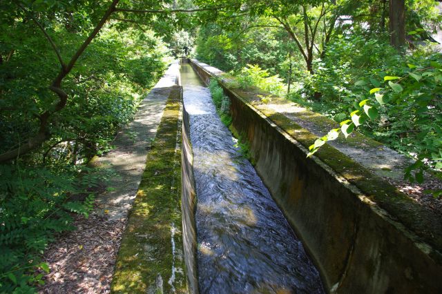 山沿い（上流側）に水路が続き、歩くことができます。