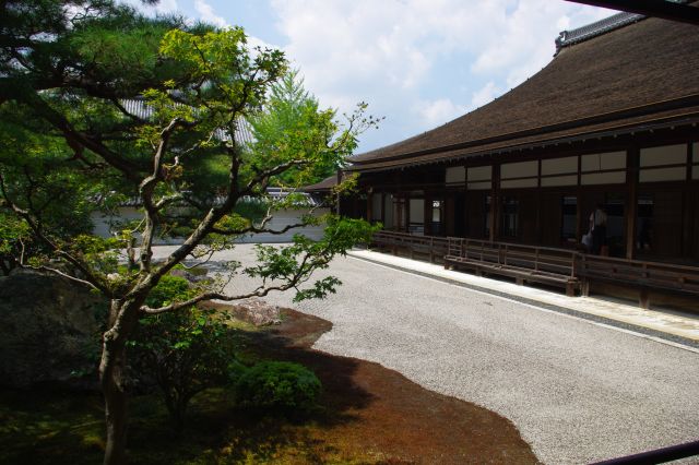 「虎の子渡しの庭」と呼ばれる大方丈の枯山水の庭園。