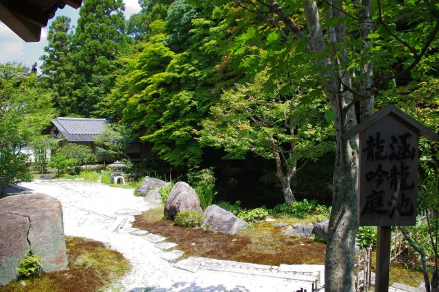 奥には池と茶室。