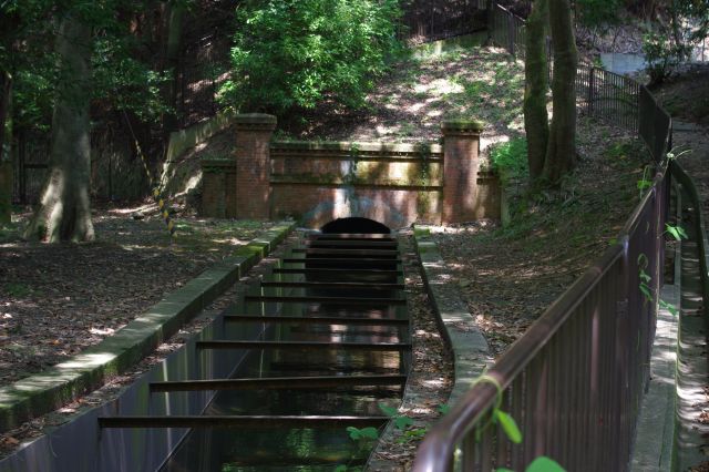 こちらはすぐに山に入るトンネル。この水は実は哲学の道へ続いています。