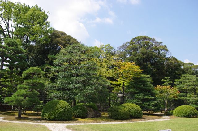 門をくぐり石段を登ると本丸庭園へ。こちらも広く緑いっぱいです。