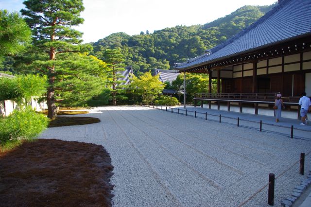 庭園エリアへ。入ってすぐの大方丈の東側は枯山水の庭園。