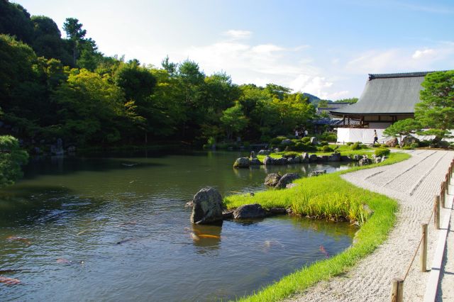 方丈の西側は曹源池庭園。白砂の奥に広い池が広がります。美しいがこの日は日差しが痛い…。