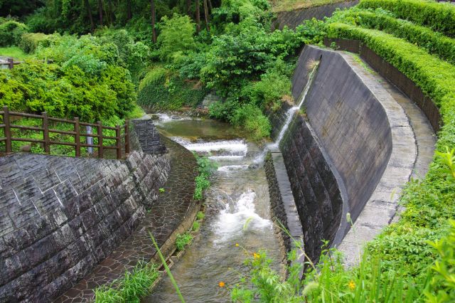 雨が降り大きめの音を響かせている川の水。