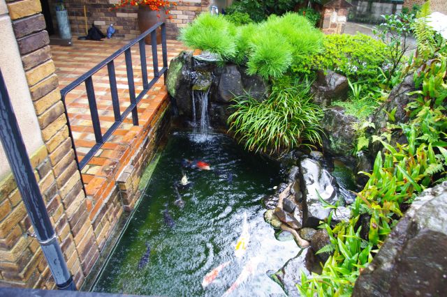 鯉のいる風流な池。雨が強くなってきたのでここで雨宿り。