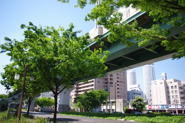 四間道と平行して南下、国際センター駅方向へ。緑が心地よいです。