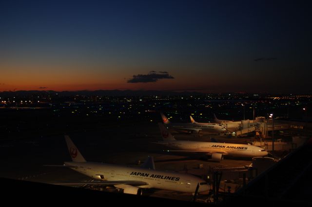 陸側は徐々に灯かりが灯り、次第に夜景へと変化していく。