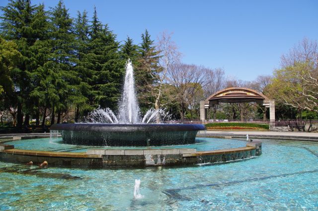 日比谷公園の桜の写真ページへ