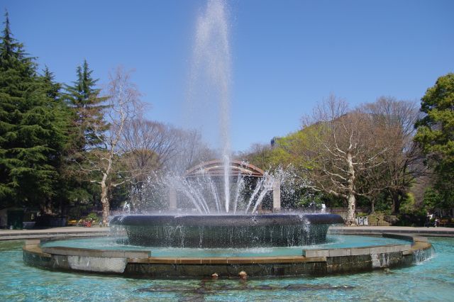 大噴水が大きく噴出しているところ。離れても水しぶきが飛んできます。